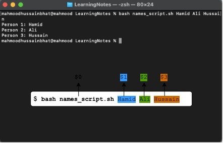 Bash Scripting Notebook